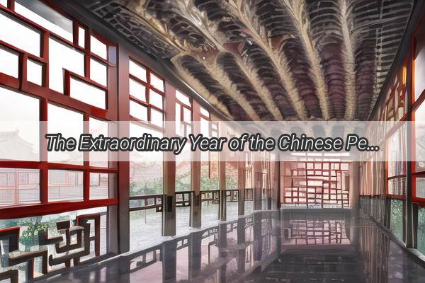 The Extraordinary Year of the Chinese People Resilience and Unity in the Face of Adversity